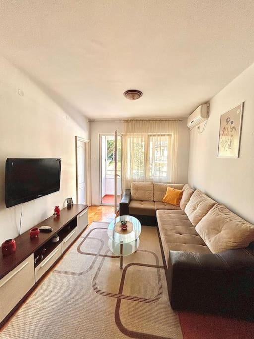 Cozy, Charming One Bedroom Apartment Podgorica